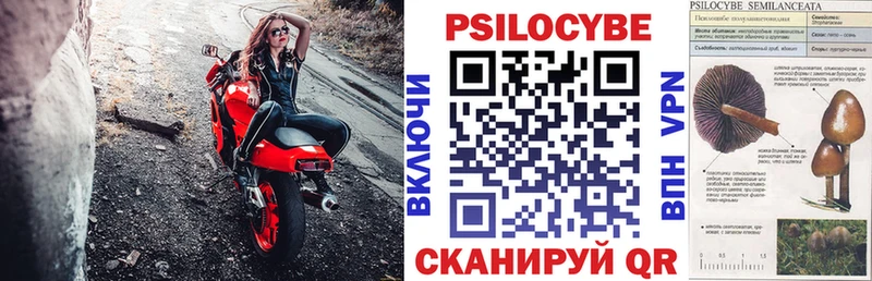 Псилоцибиновые грибы Psilocybine cubensis  цены   Кудымкар 